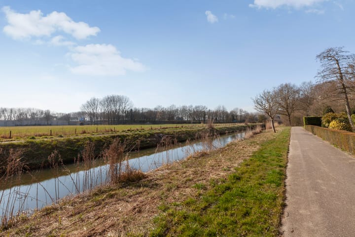 Foto 30 van Seringenplantsoen 305