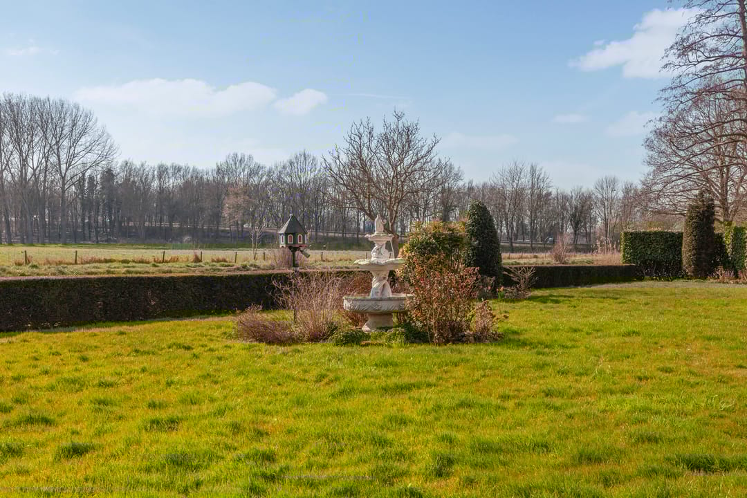 Foto 31 van Seringenplantsoen 305