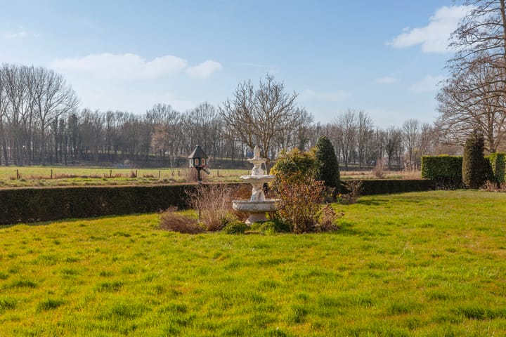 Foto 31 van Seringenplantsoen 305