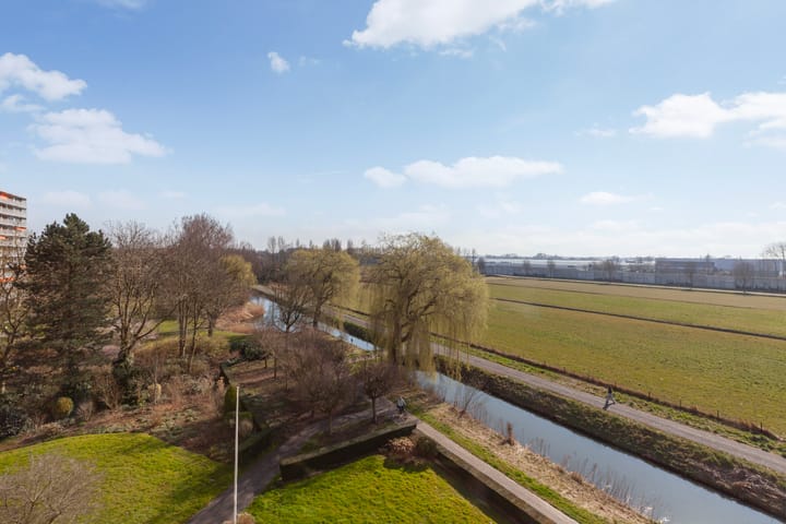 Foto 32 van Seringenplantsoen 305