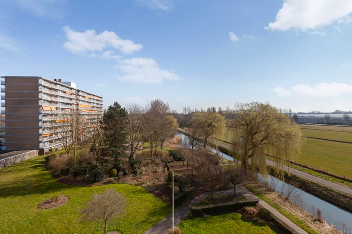 Foto 34 van Seringenplantsoen 305