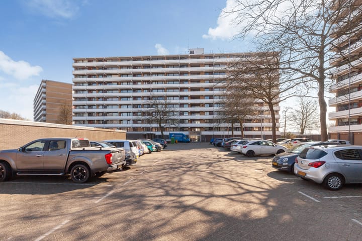 Foto 35 van Seringenplantsoen 305