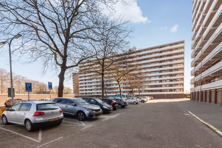 Foto 36 van Seringenplantsoen 305