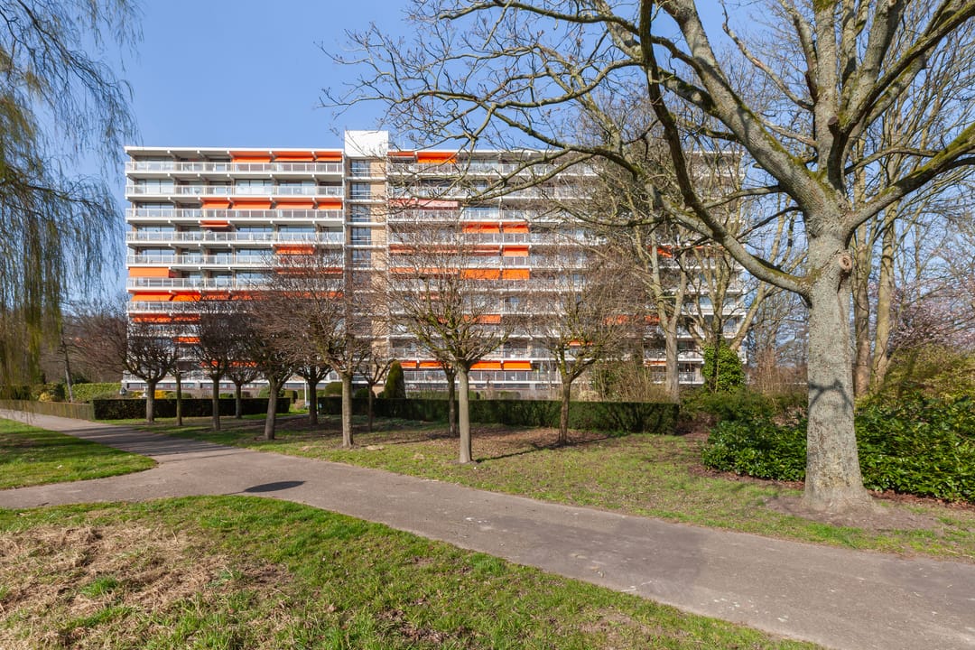 Foto 38 van Seringenplantsoen 305