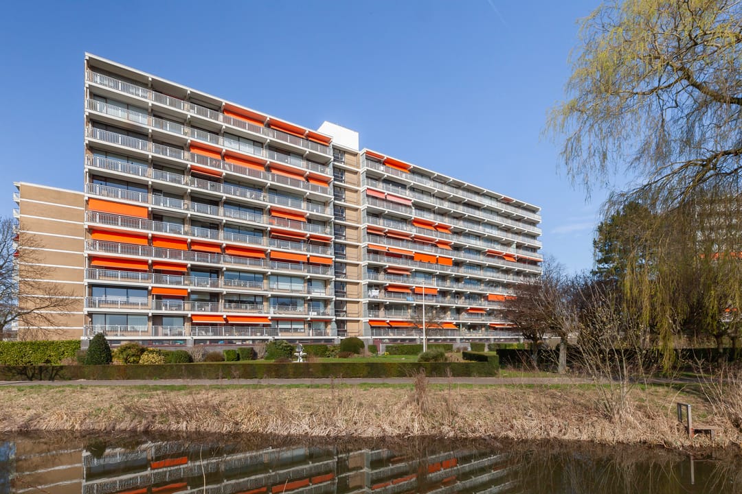 Foto 37 van Seringenplantsoen 305