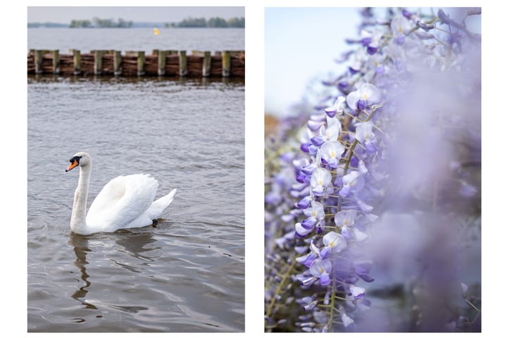 Foto 49 van Golfslag 29