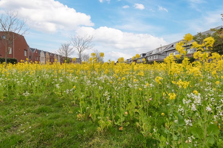 Foto 42 van Zwarte Ring 153