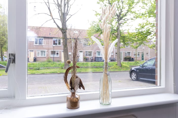 Photo 20 of Oliemolen 46