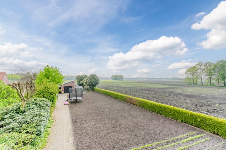 Photo 49 of Schouwberg 2