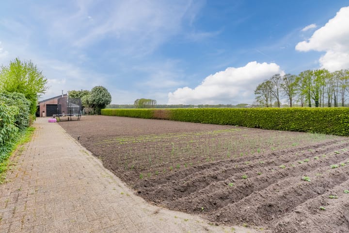 Photo 50 of Schouwberg 2