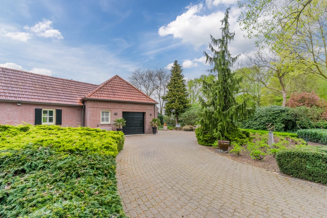 Photo 58 of Schouwberg 2