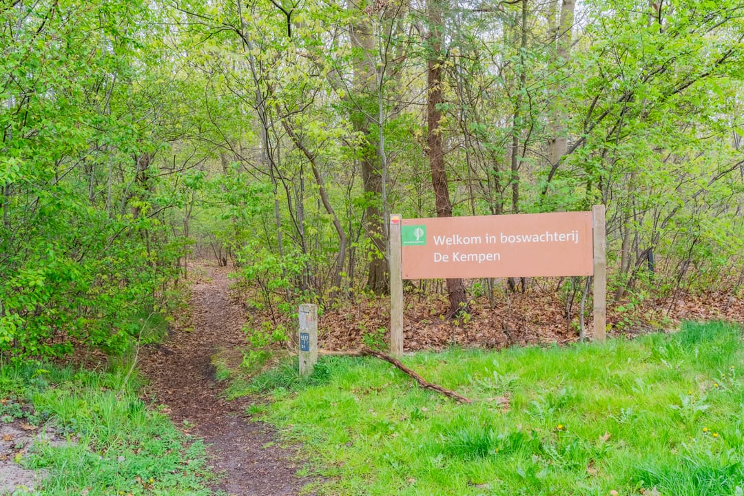 Photo 61 of Schouwberg 2