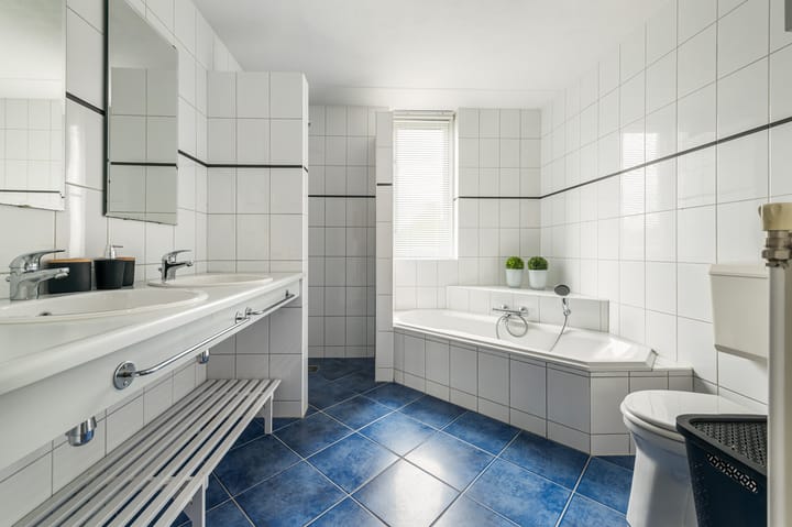 Foto 19 van Berkenschakel 7