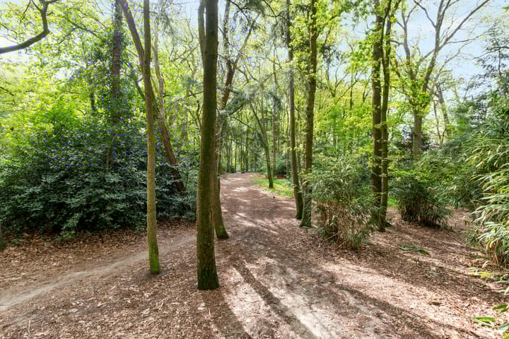 Foto 29 van Zeverijnstraat 13