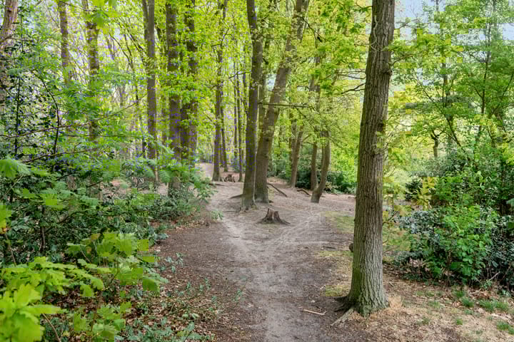 Foto 31 van Zeverijnstraat 13