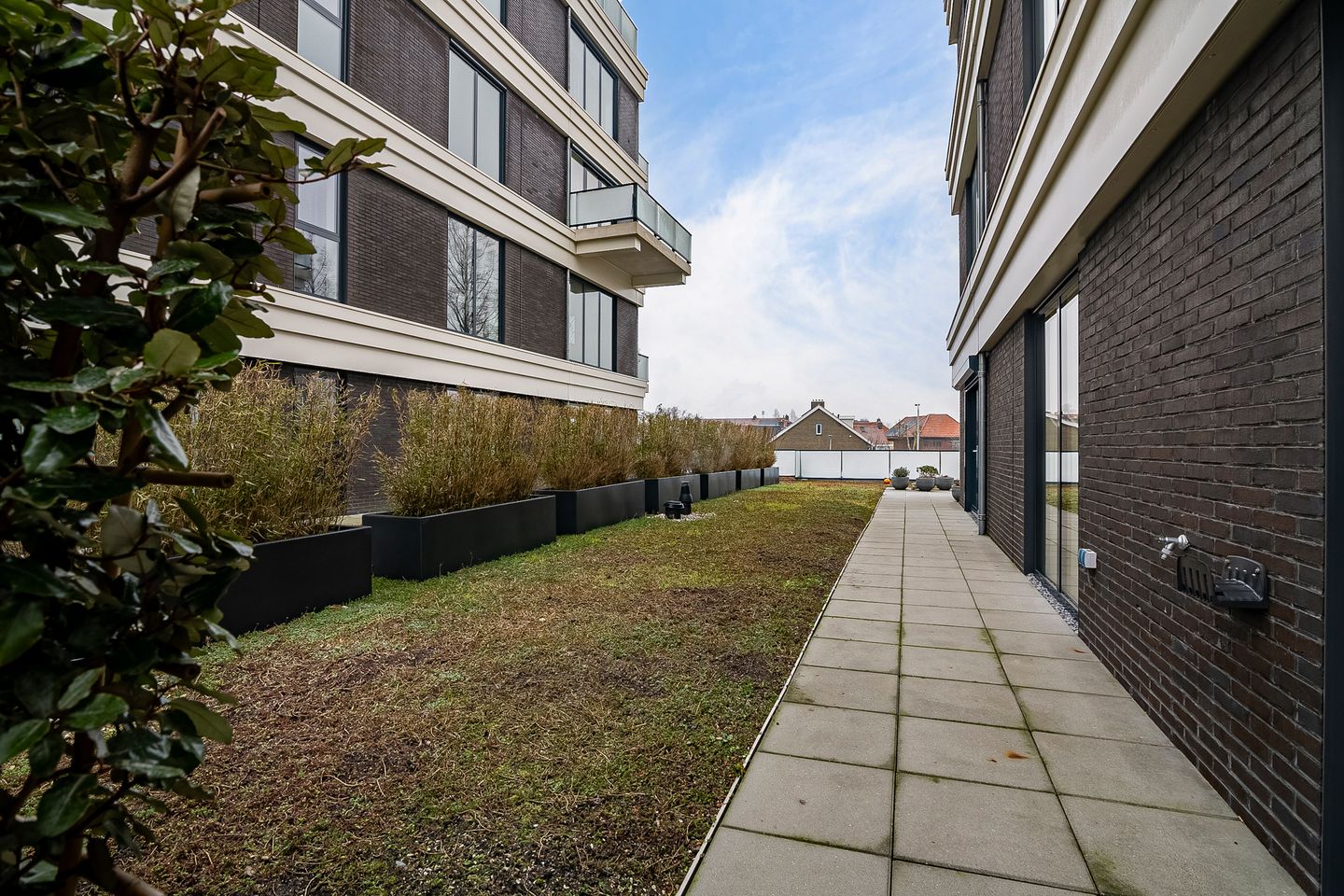 Foto 35 van Reviusstraat 49
