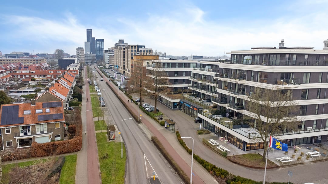 Foto 47 van Reviusstraat 49