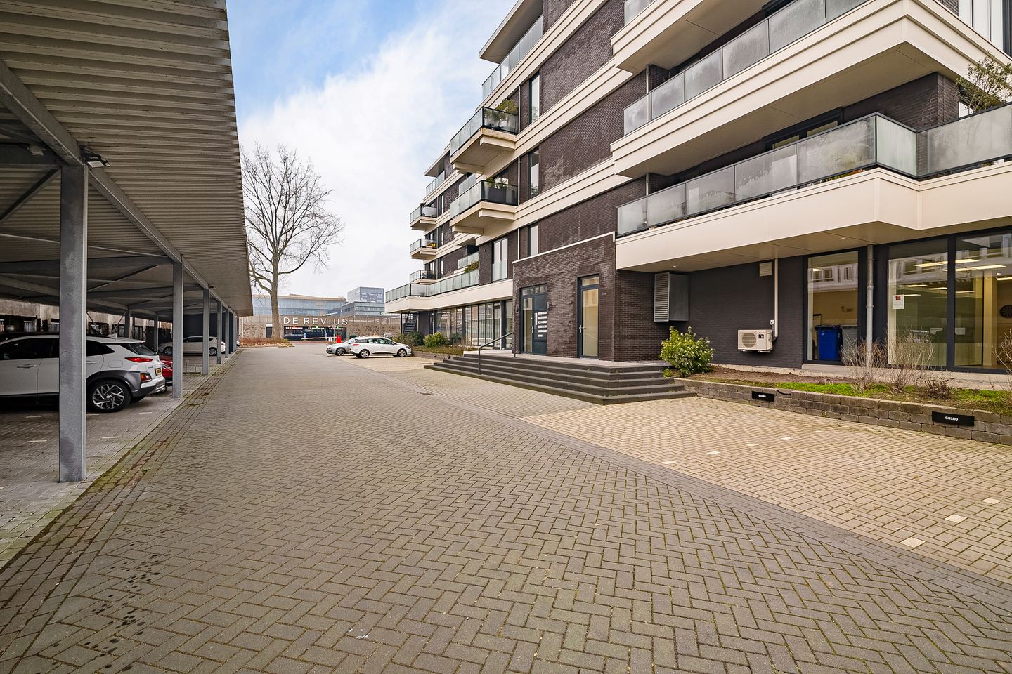 Foto 50 van Reviusstraat 49
