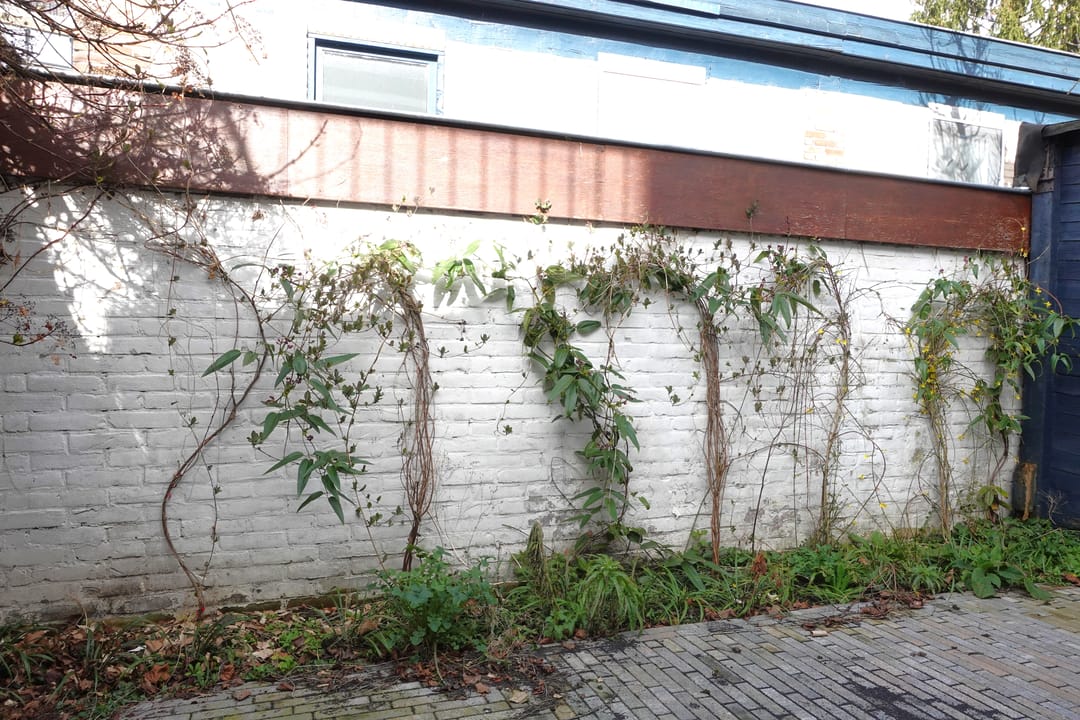 Foto 56 van Bollenhofsestraat 90