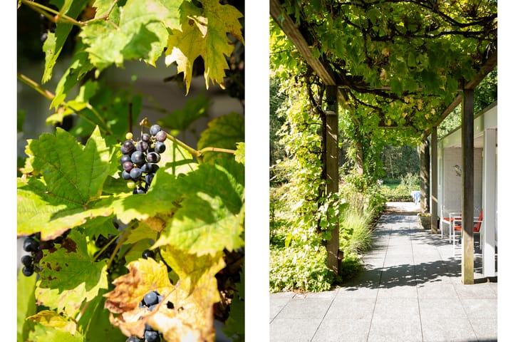 Foto 34 van Eikenven 29