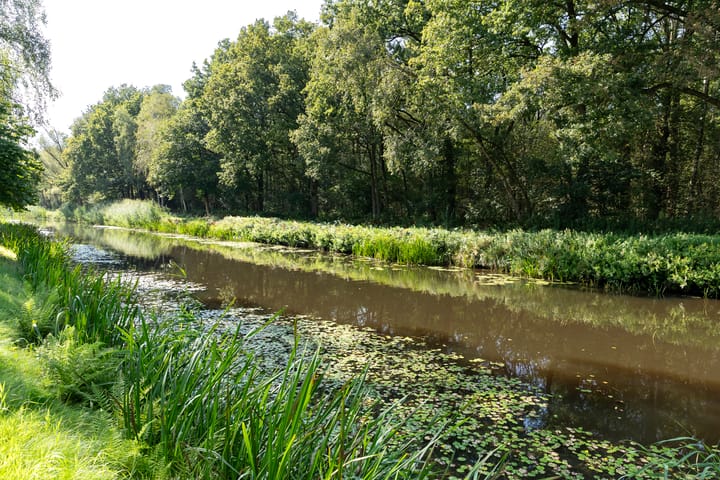 Foto 37 van Eikenven 29