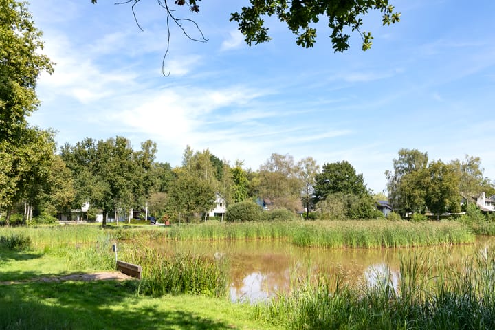 Foto 45 van Eikenven 29