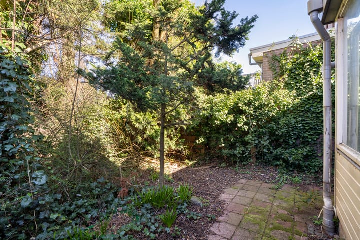 Foto 24 van Brasserskade 213