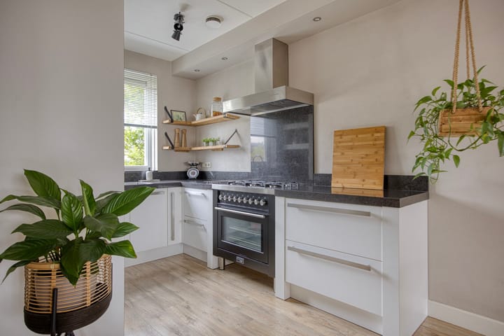 Foto 3 van Keizersmantel 48