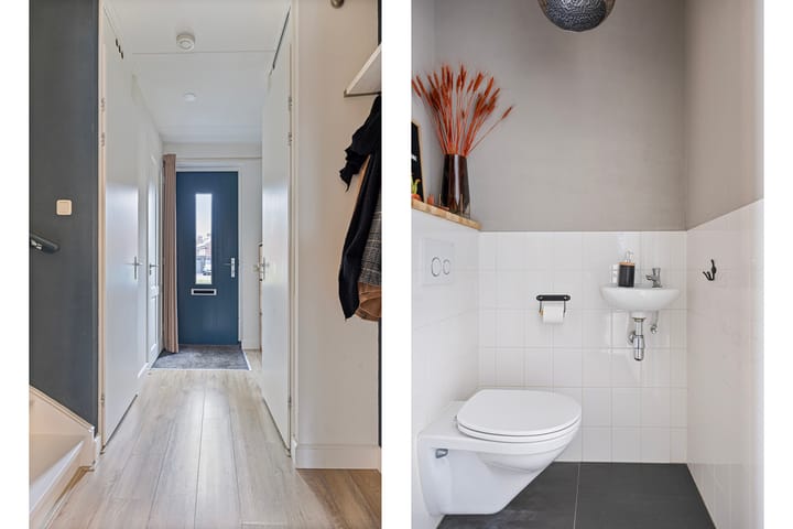 Foto 10 van Keizersmantel 48