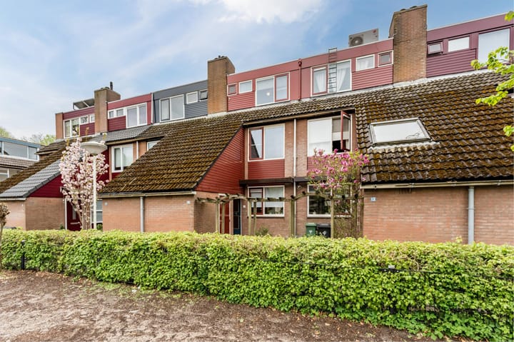 undefined main image