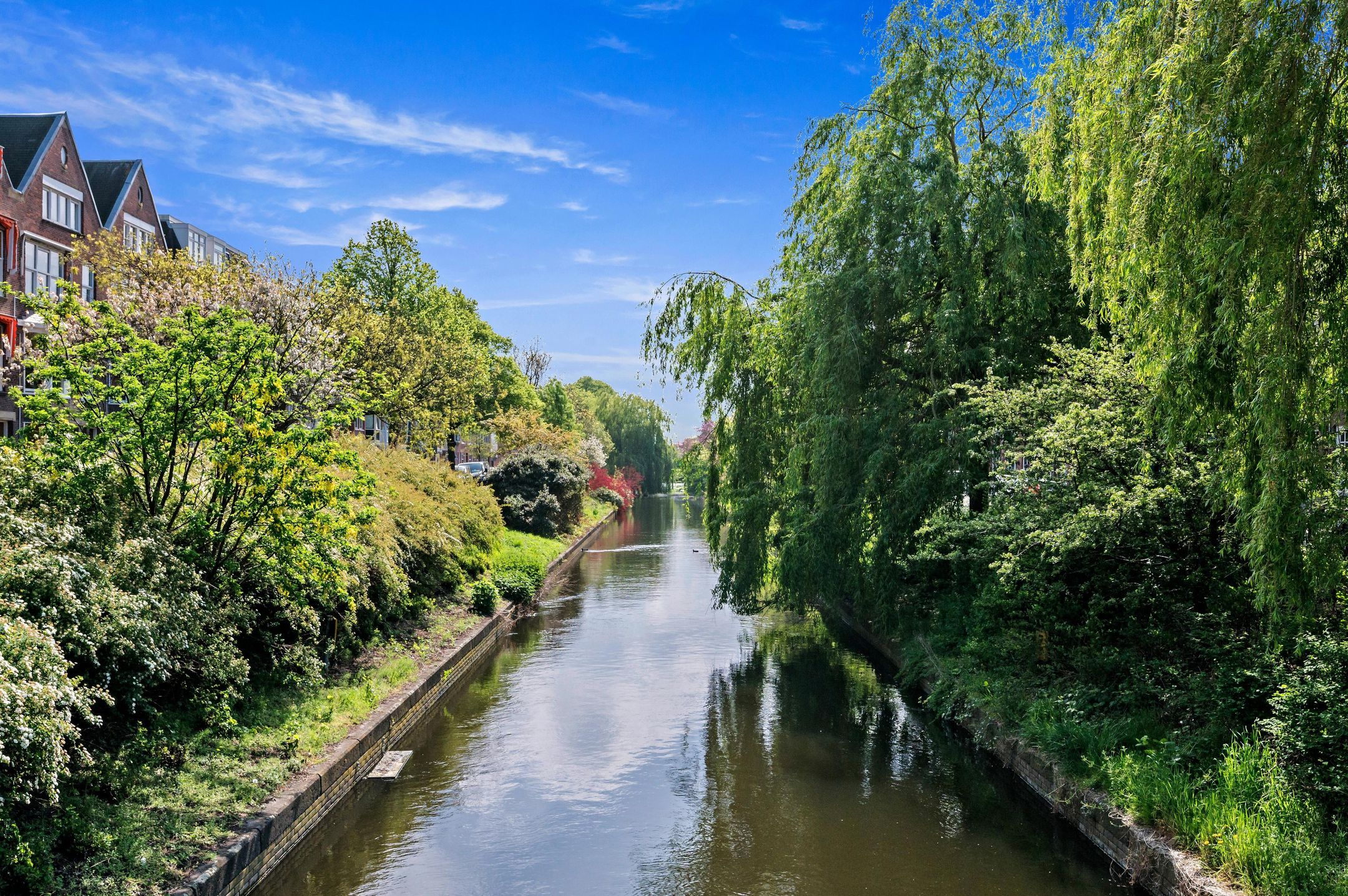 Foto 36 van Goudenregenstraat 143