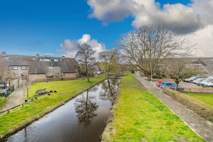 Foto 3 van Klimopzoom 84