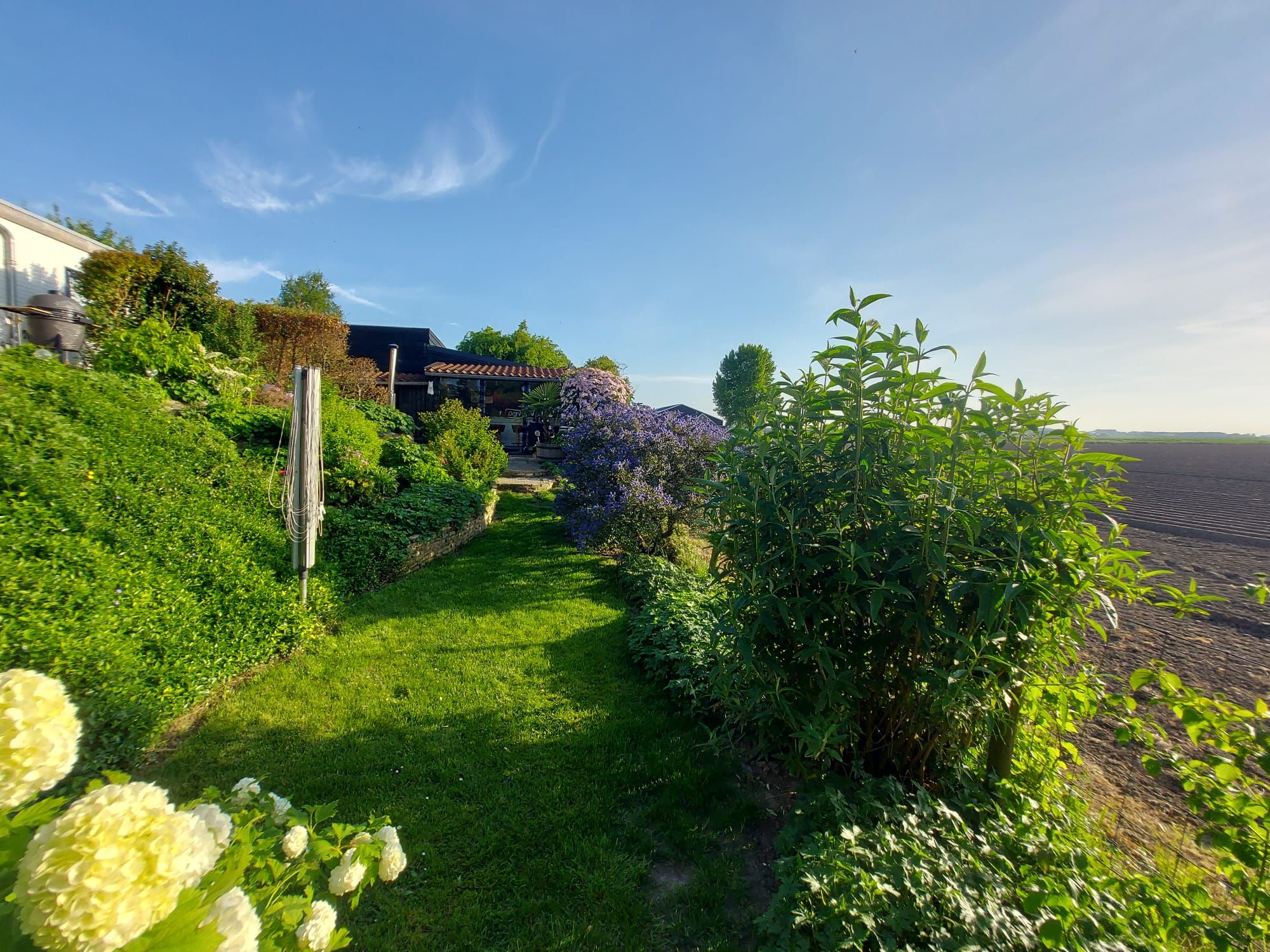 Photo 33 of Zinkweg 340