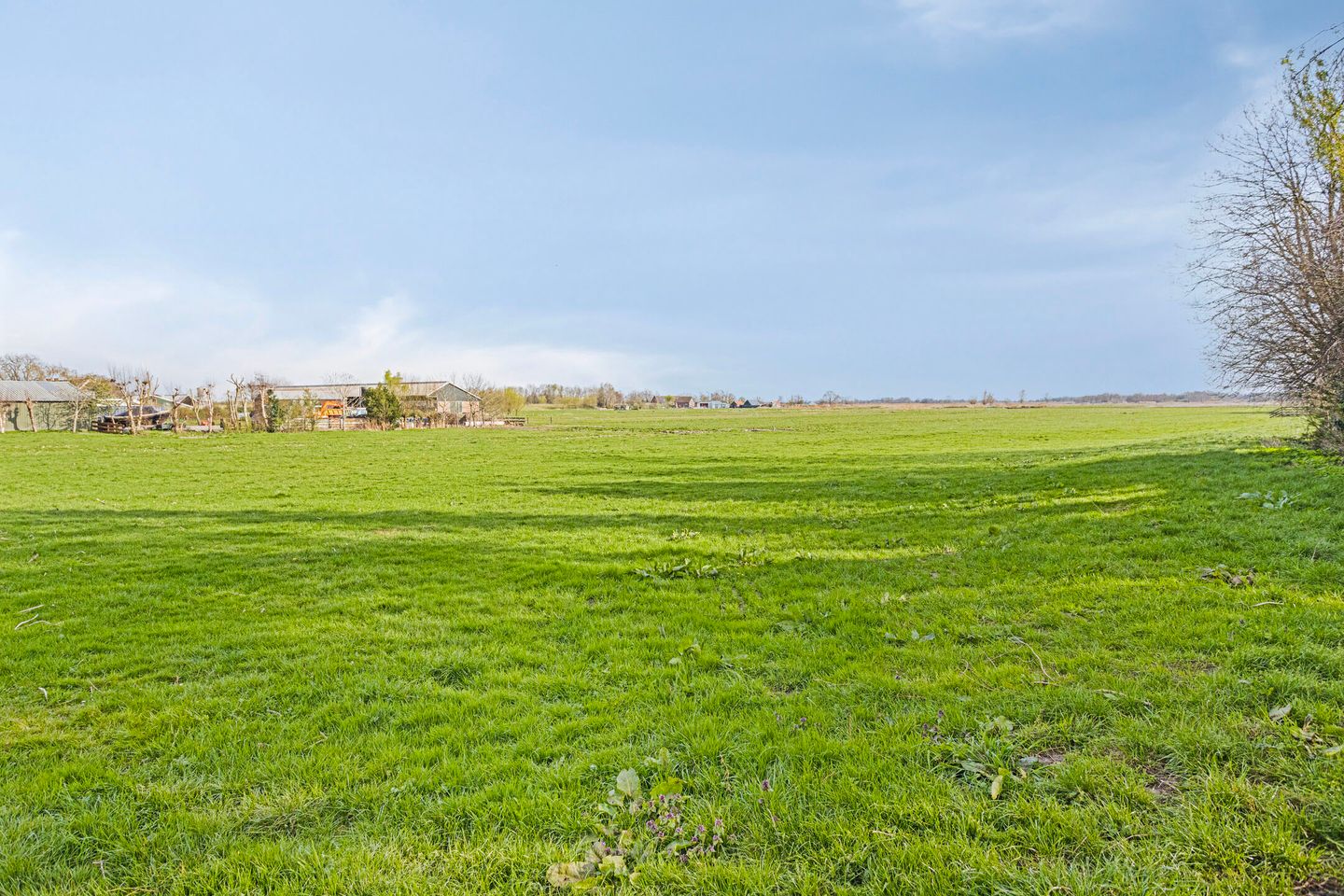 Foto 34 van Botshol 9