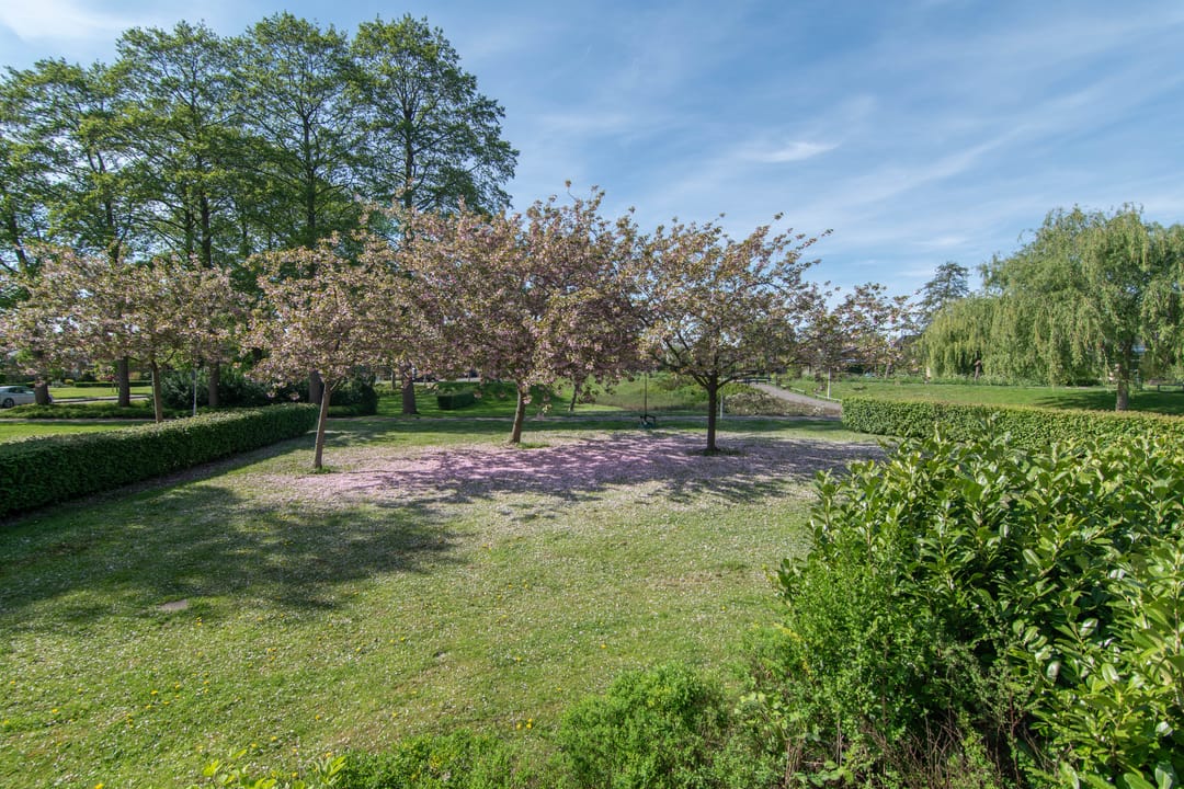 Photo 16 of Meidoornlaan 38