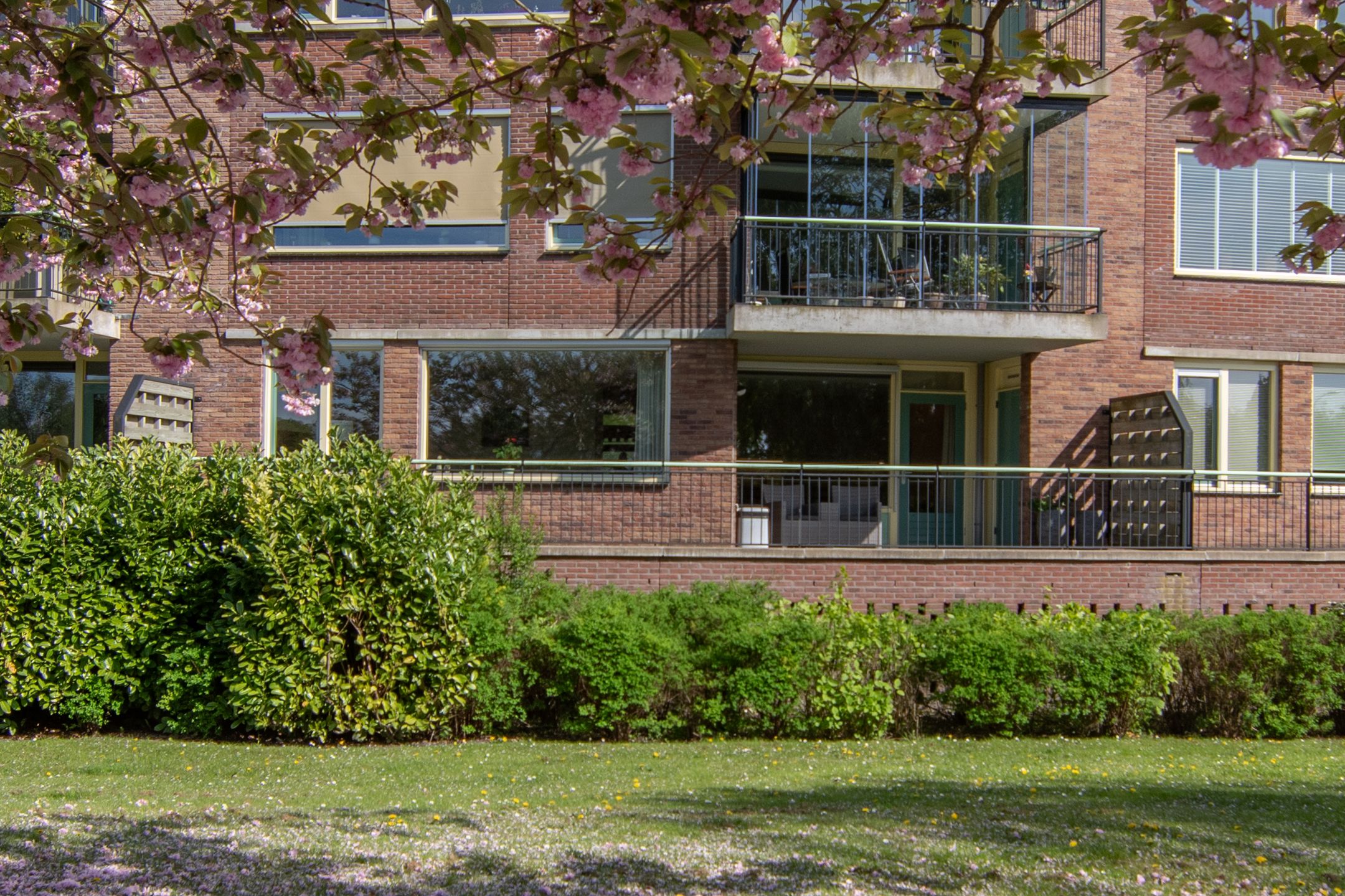 Photo 39 of Meidoornlaan 38