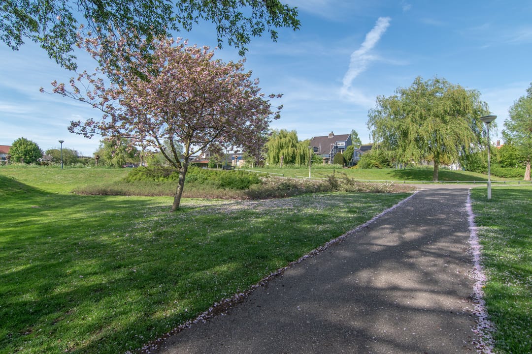 Photo 41 of Meidoornlaan 38