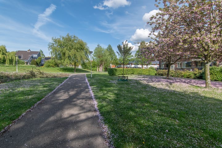 Foto 40 van Meidoornlaan 38