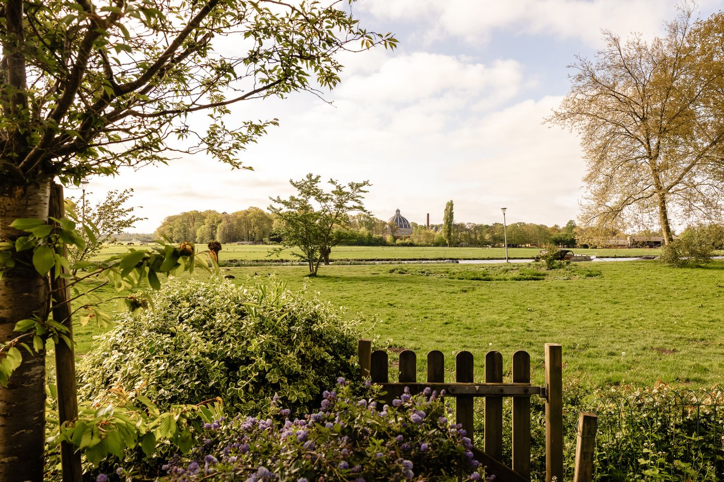 Foto 50 van Offenbachlaan 16