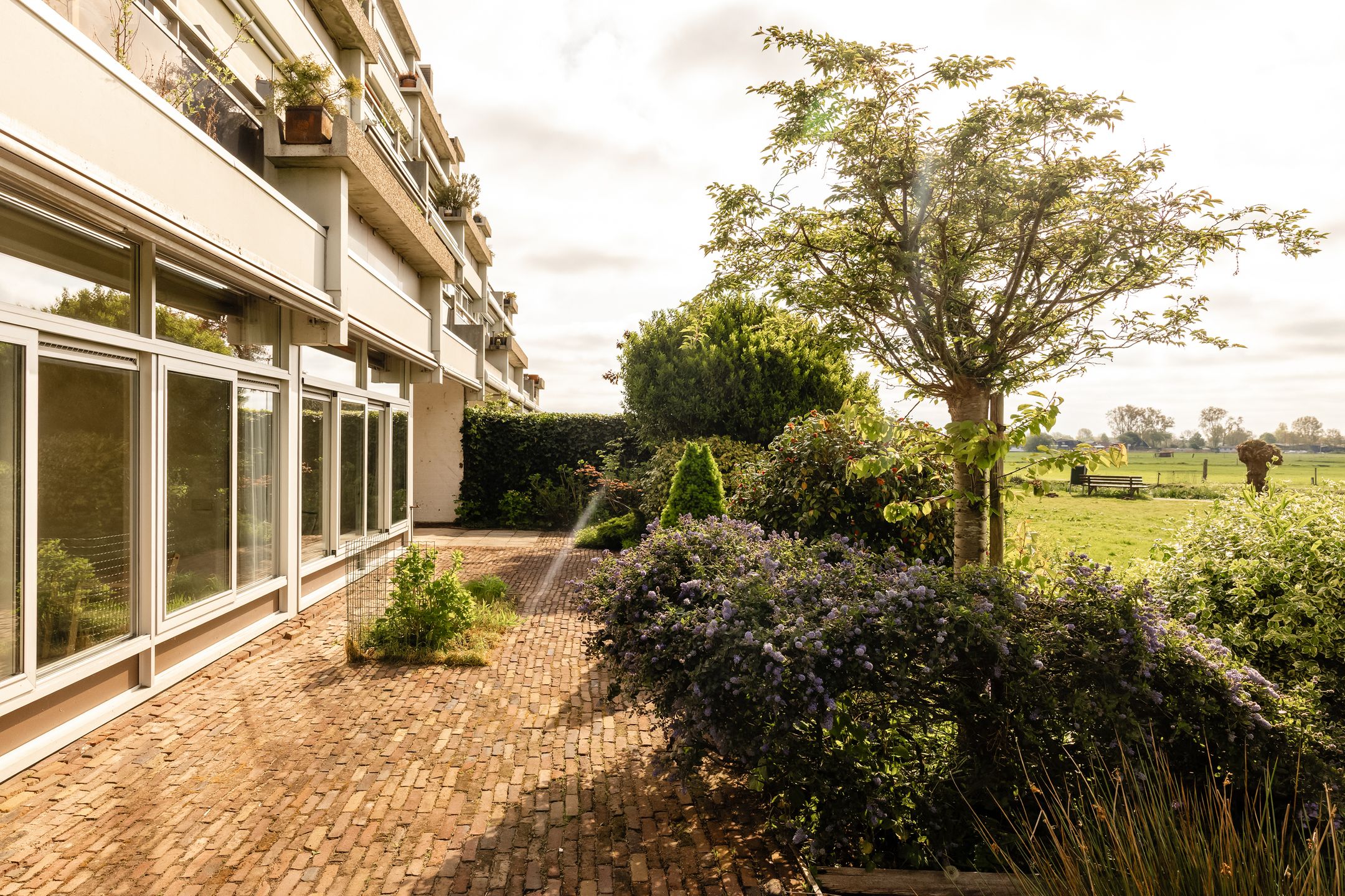 Foto 51 van Offenbachlaan 16