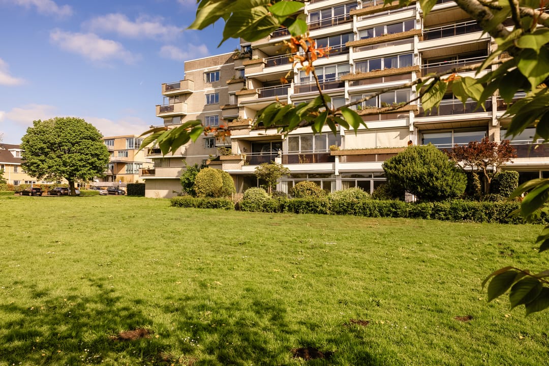 Foto 52 van Offenbachlaan 16