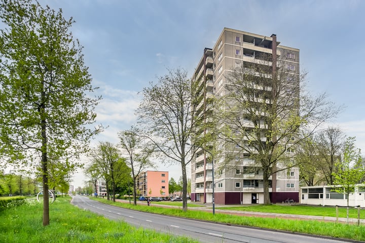 Ierlandstraat 193
