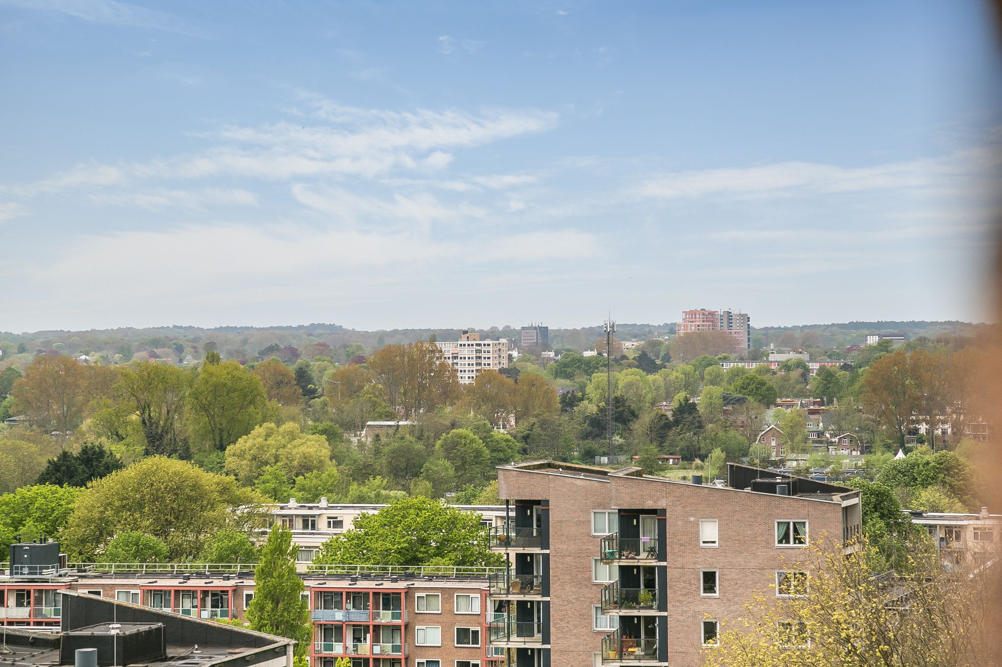 Foto 15 van Ierlandstraat 193