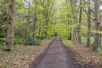 Hoofdweg 440 secondary image