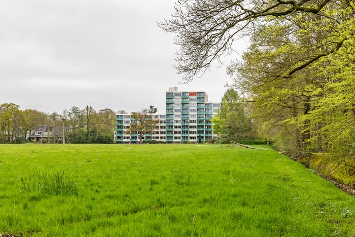 Foto 3 van Hoofdweg 440