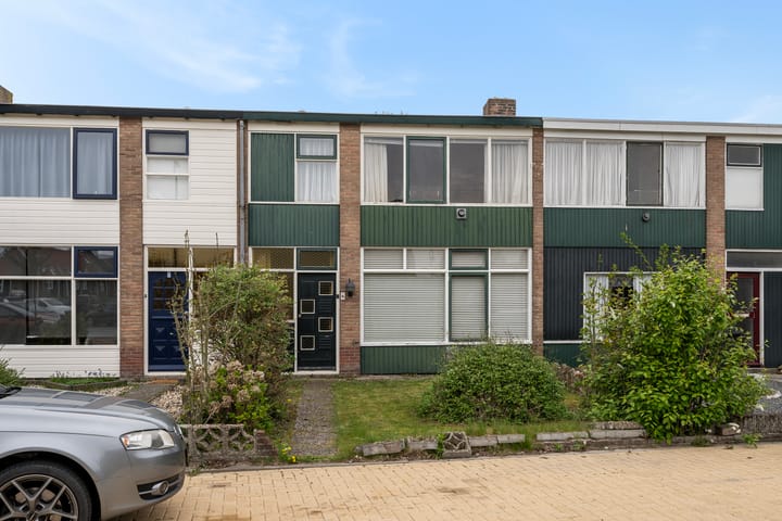 undefined main image