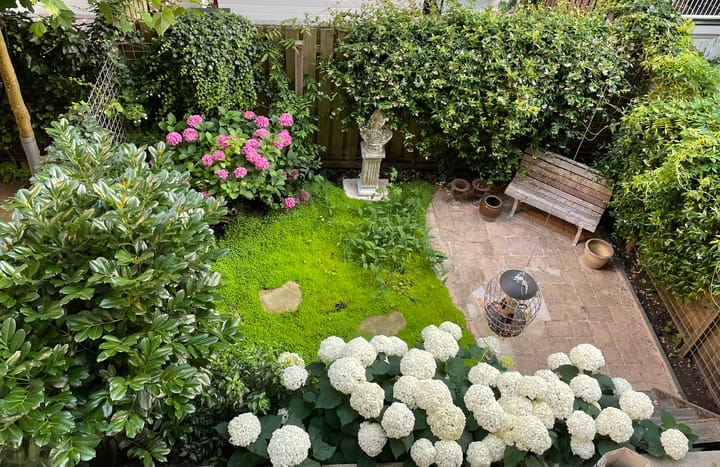 Foto 5 van Sint Willibrordusstraat 74