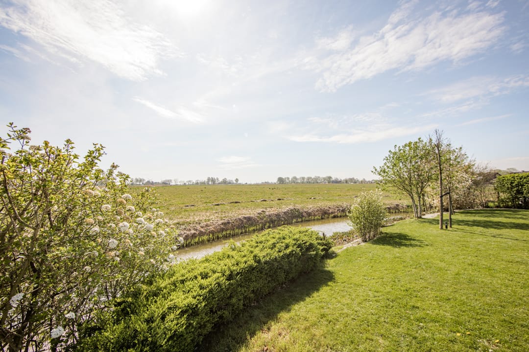 Photo 13 of It Ferset 41