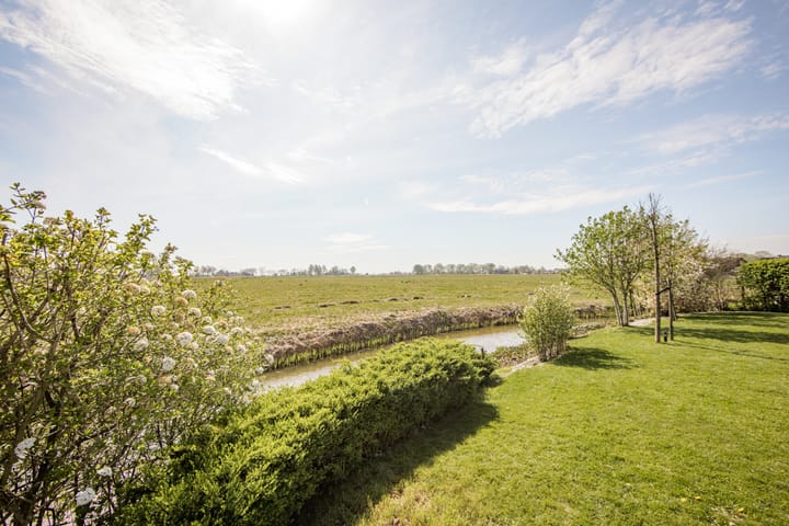 Foto 13 van It Ferset 41