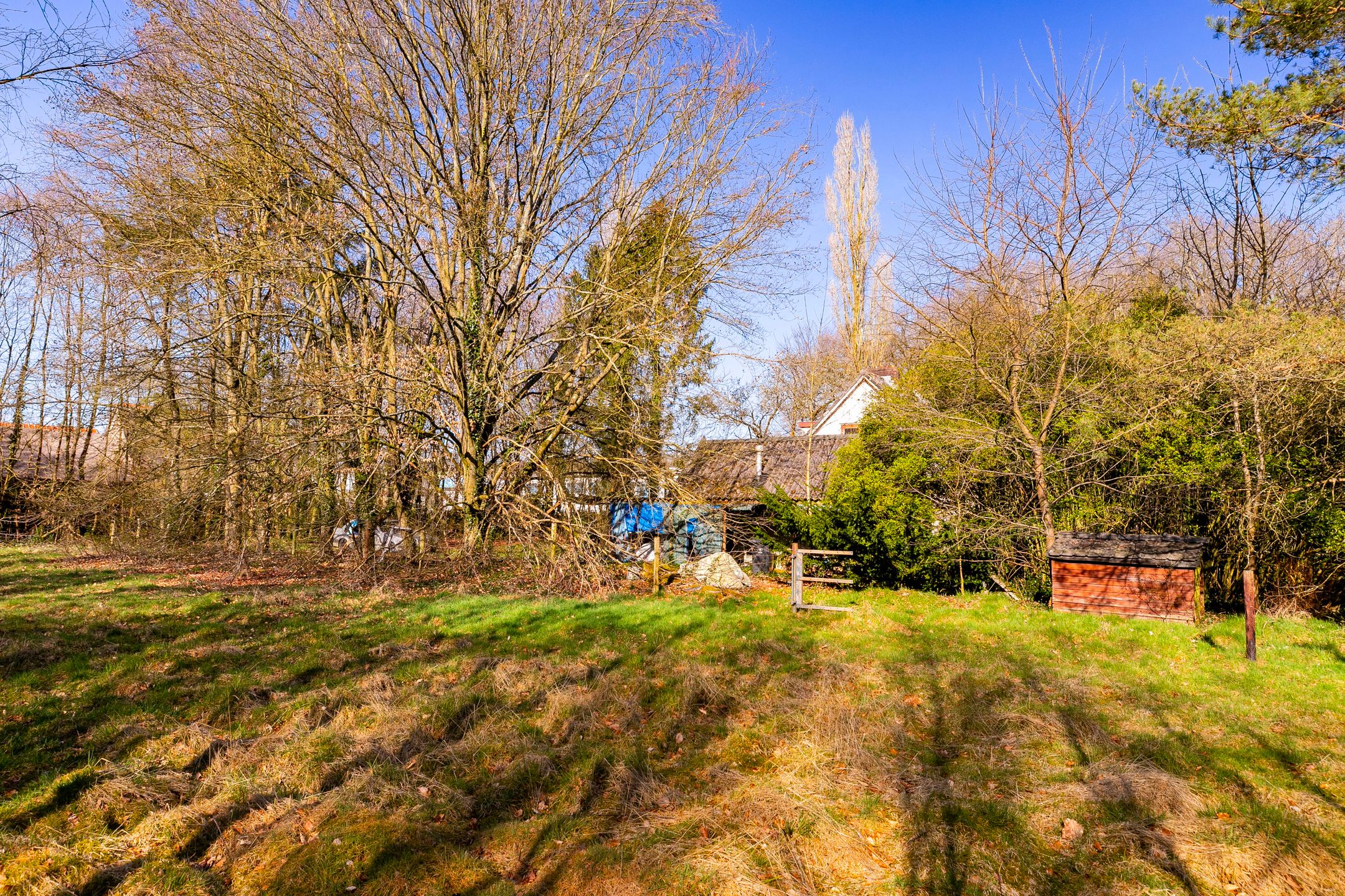 Foto 12 van Karel van Gelreweg 15